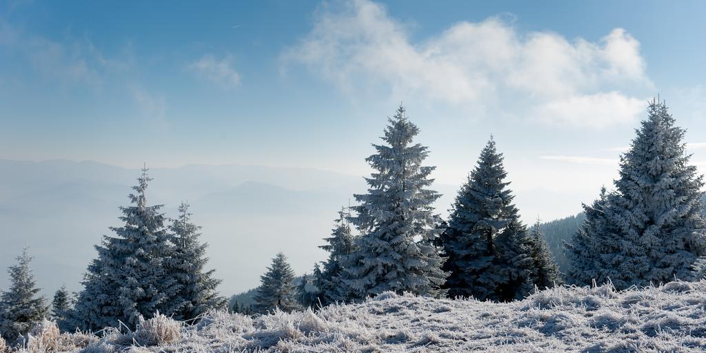 Penzion Ladoven Skvela Kuchyna A Rodinna Atmosfera Martin Exteriör bild